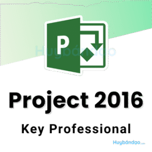 Microsoft Project 2016 Professional