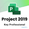 project 2019 key professional