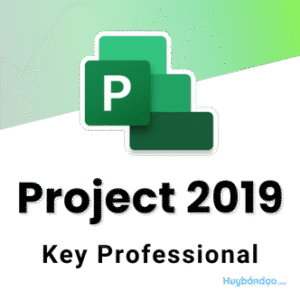 project 2019 key professional