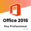 Office 2016 Professional