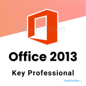 Office 2013 Professional