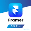 Framer gói Pro